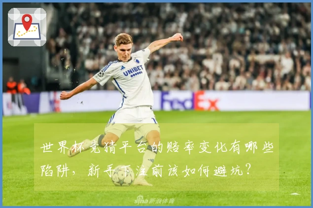 世界杯竞猜平台的赔率变化有哪些陷阱，新手下注前该如何避坑？