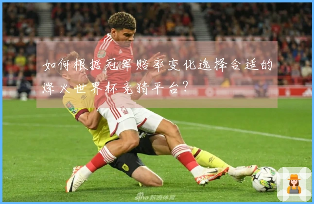 如何根据冠军赔率变化选择合适的烽火世界杯竞猜平台？