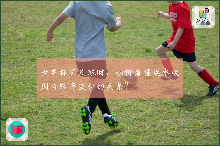 世界杯买足球时，如何看懂返水规则与赔率变化的关系？