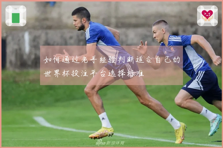 如何通过老手经验判断适合自己的世界杯投注平台选择标准