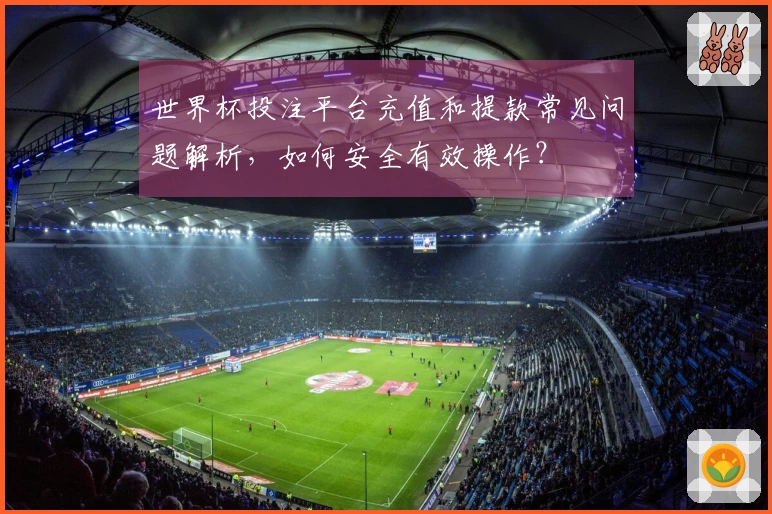 世界杯投注平台充值和提款常见问题解析，如何安全有效操作？