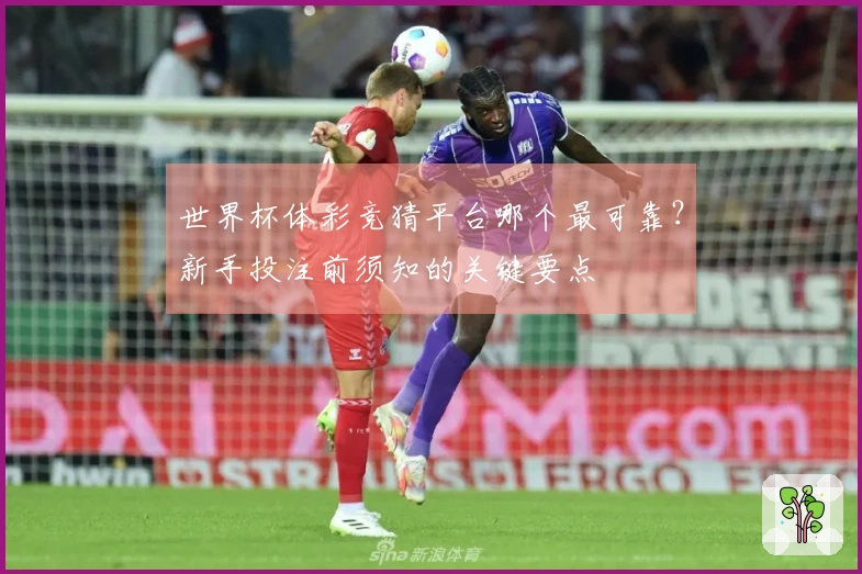 世界杯体彩竞猜平台哪个最可靠？新手投注前须知的关键要点
