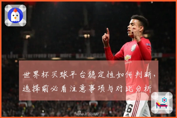 世界杯买球平台稳定性如何判断，选择前必看注意事项与对比分析