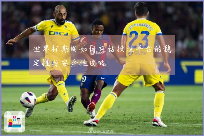 世界杯期间如何评估投注平台的稳定性与安全性攻略