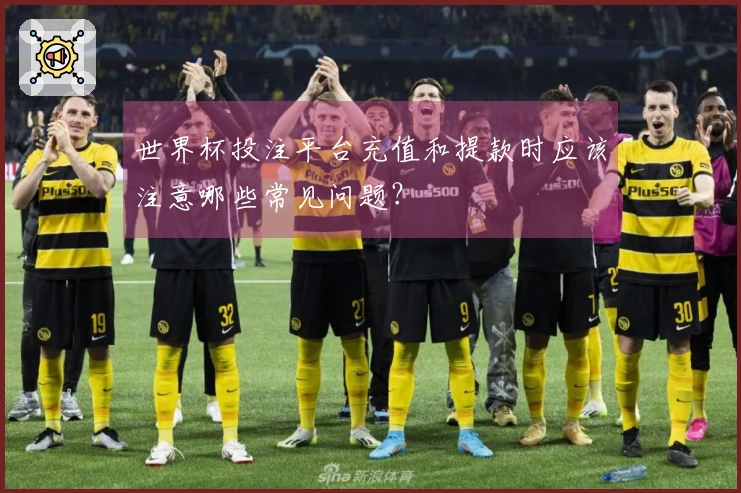 世界杯投注平台充值和提款时应该注意哪些常见问题？