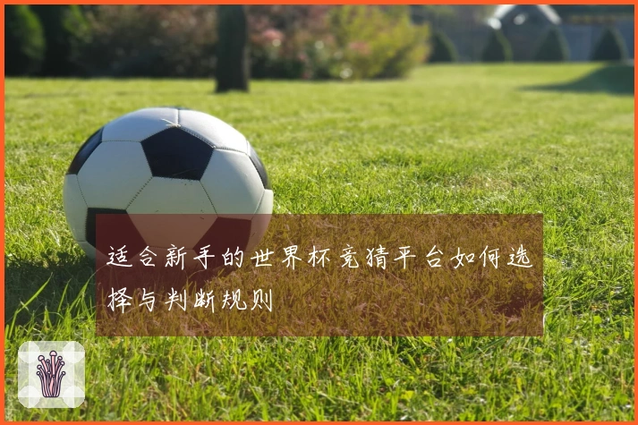 适合新手的世界杯竞猜平台如何选择与判断规则