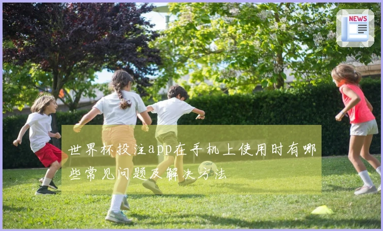 世界杯投注app在手机上使用时有哪些常见问题及解决方法