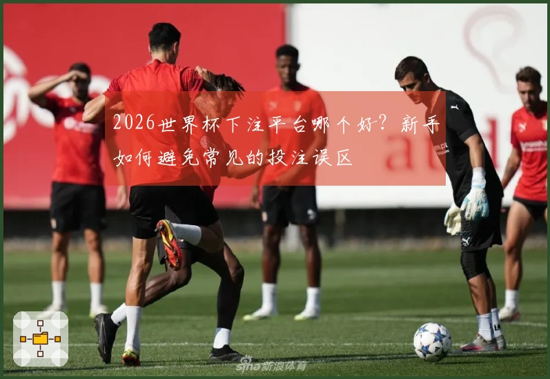 2026世界杯下注平台哪个好？新手如何避免常见的投注误区