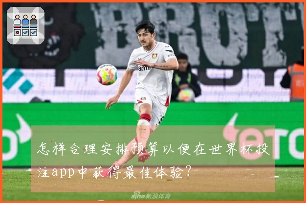 怎样合理安排预算以便在世界杯投注app中获得最佳体验？