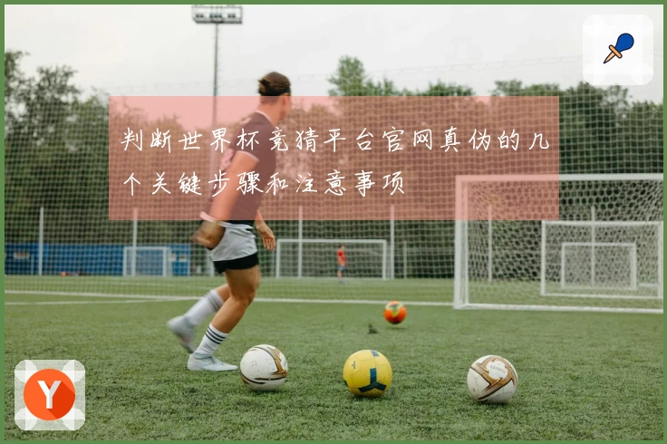 判断世界杯竞猜平台官网真伪的几个关键步骤和注意事项