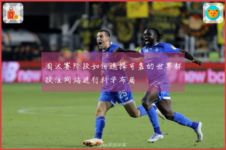 淘汰赛阶段如何选择可靠的世界杯投注网站进行科学布局