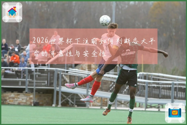2026世界杯下注前如何判断各大平台的可靠性与安全性