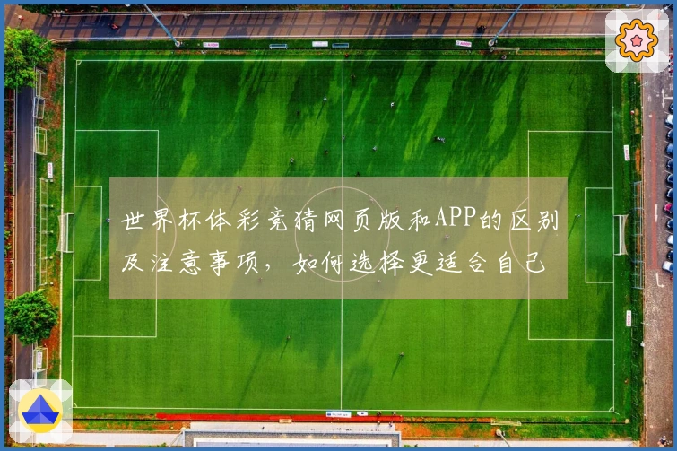 世界杯体彩竞猜网页版和APP的区别及注意事项，如何选择更适合自己的平台