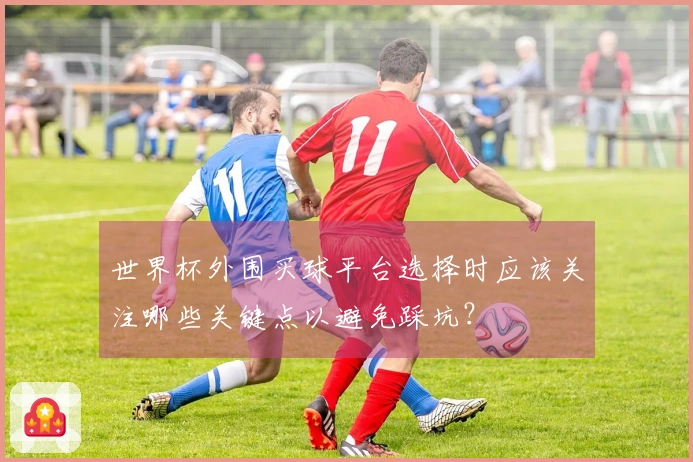世界杯外围买球平台选择时应该关注哪些关键点以避免踩坑？