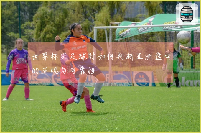 世界杯买足球时如何判断亚洲盘口的正规与可靠性