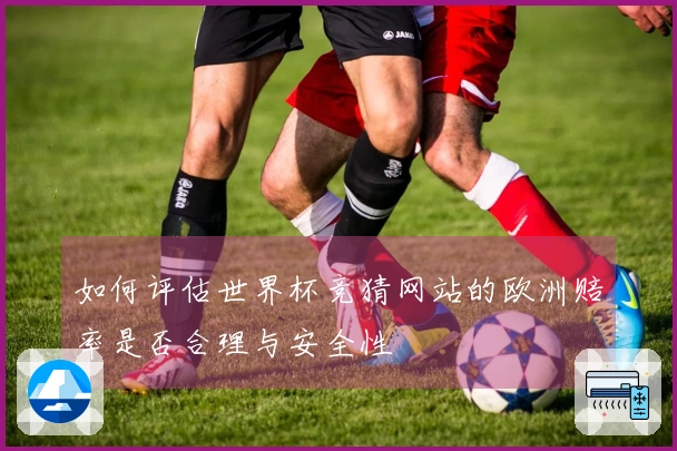 如何评估世界杯竞猜网站的欧洲赔率是否合理与安全性