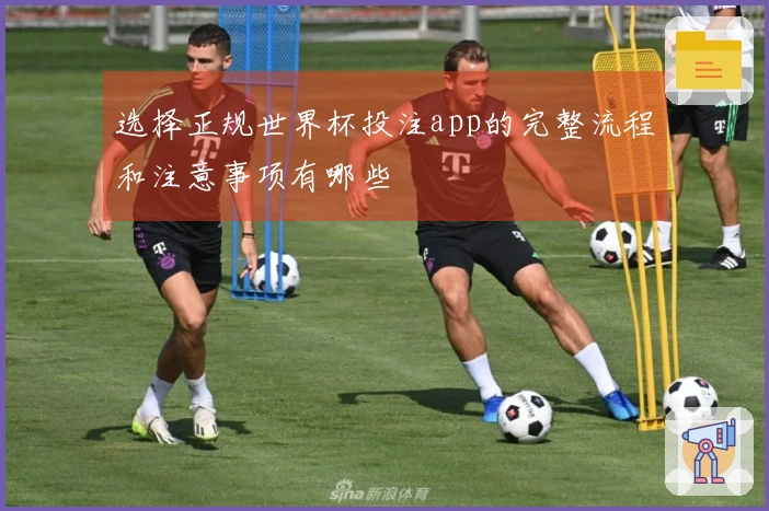选择正规世界杯投注app的完整流程和注意事项有哪些