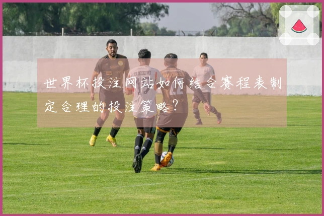 世界杯投注网站如何结合赛程表制定合理的投注策略？