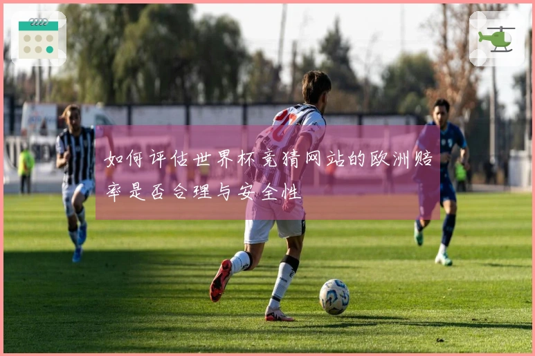 如何评估世界杯竞猜网站的欧洲赔率是否合理与安全性