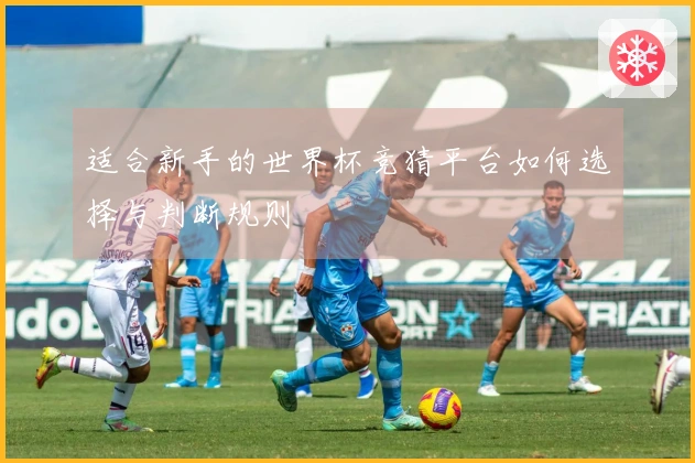 适合新手的世界杯竞猜平台如何选择与判断规则