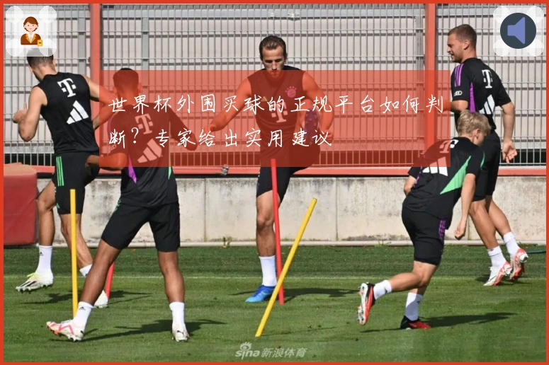 世界杯外围买球的正规平台如何判断？专家给出实用建议
