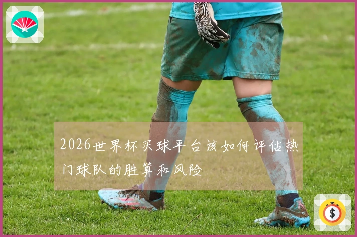 2026世界杯买球平台该如何评估热门球队的胜算和风险