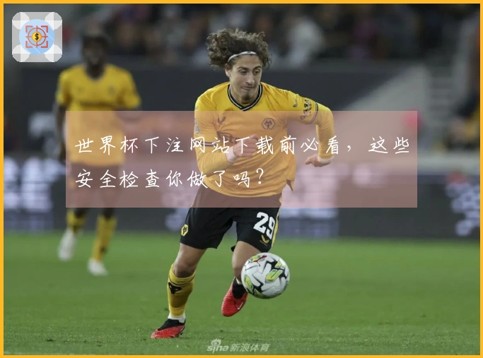 世界杯下注网站下载前必看，这些安全检查你做了吗？