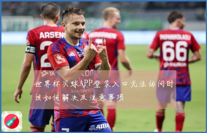 世界杯买球APP登录入口无法访问时该如何解决及注意事项