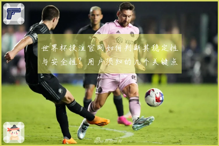 世界杯投注官网如何判断其稳定性与安全性？用户须知的几个关键点