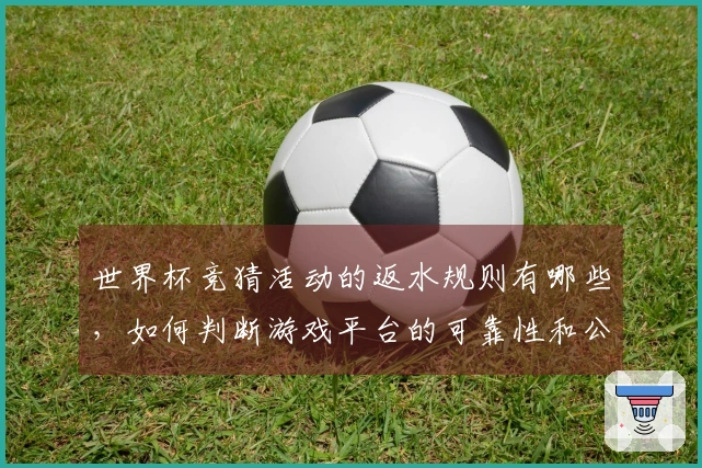 世界杯竞猜活动的返水规则有哪些，如何判断游戏平台的可靠性和公平性