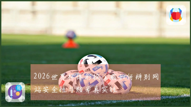 2026世界杯体彩投注前如何辨别网站安全性与赔率真实性