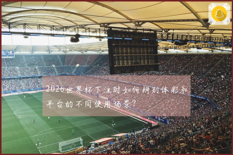 2026世界杯下注时如何辨别体彩和平台的不同使用场景？