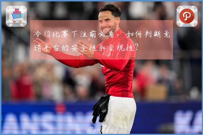 冷门比赛下注前必看，如何判断竞猜平台的安全性和合规性？