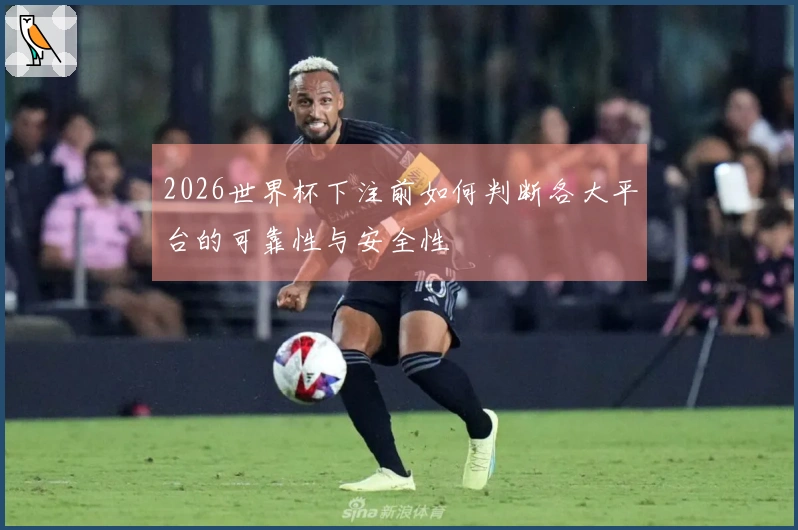 2026世界杯下注前如何判断各大平台的可靠性与安全性