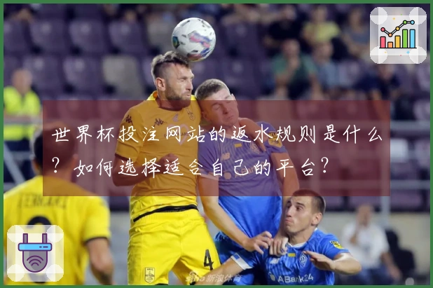 世界杯投注网站的返水规则是什么？如何选择适合自己的平台？